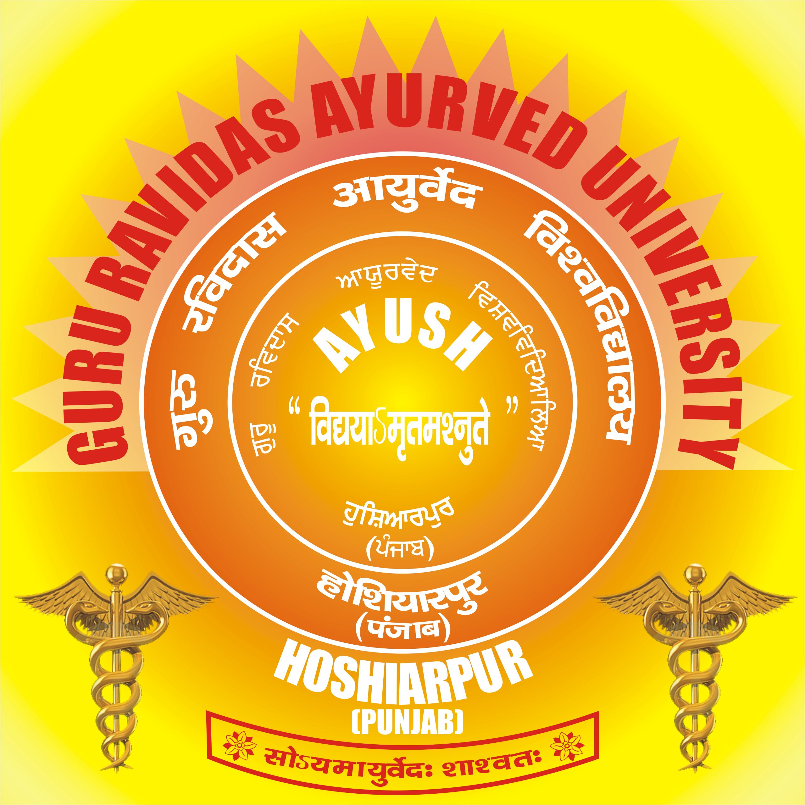 College Logo